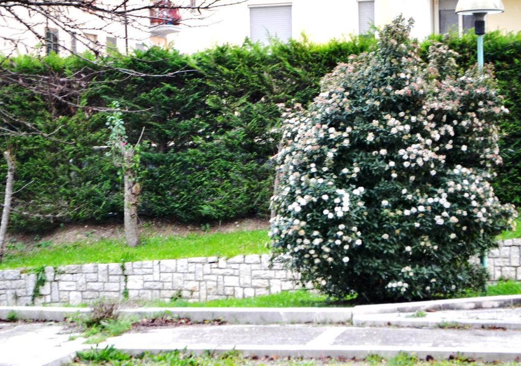 La Casa Di Olga Leilighet Matera Eksteriør bilde